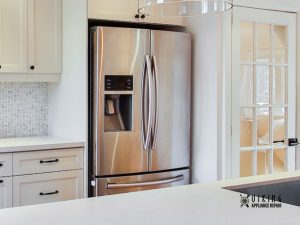 Refrigerator Water Dispenser Not Working | Expert Viking Appliance Repair