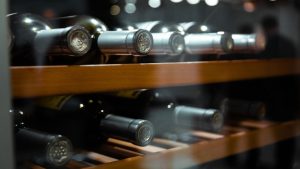 From Setup to Sip: Mastering Wine Cooler Maintenance